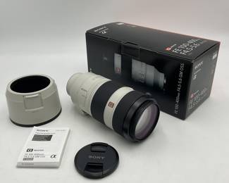 Sony G-Series FE 100-400mm f/4.5-5.6 GM OSS Lens
