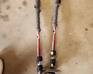 Black diamond trail shock