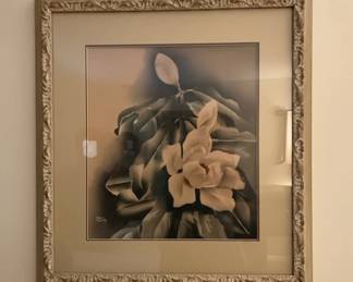 Magnolia Floral Print