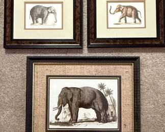Three Elephant Prints