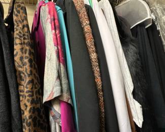 Assortment of Womens Clothing