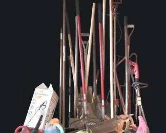 Premium Home Lawn And Garden Assortment