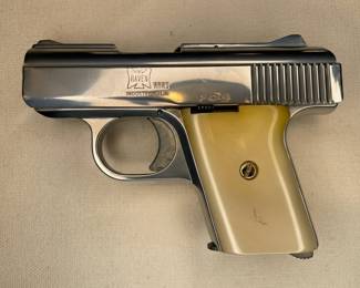 Raven Arms MP-25 Pocket Pistol