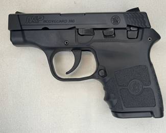 Smith & Wesson Bodyguard .380 ACP