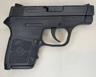 Smith & Wesson Bodyguard .380 ACP