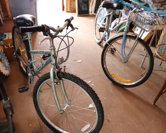 GT Palomar Mountain Bike and Vintage Ross Bike