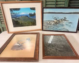 Vintage Picture Collection - Nature 