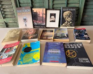 Novel Collection of 13 Books