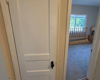 DOOR FOR SALE 24X78H