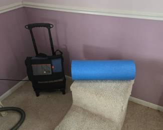 Rolling Cooler, Foam Back Roller, Carpeted Stairs for Pet Access