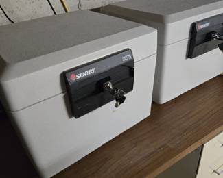 Sentry 2275 Safes with Keys