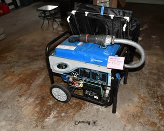 005Some Highlights Joliet Estate Sale