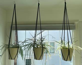 Macrame Plant Hanger Set with Ceramic Pots