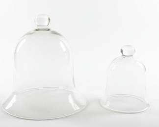 Glass Cloches