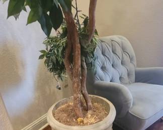 Large faux tree