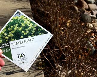 Yes we’re selling the bushes