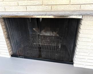 Fireplace insert and screen