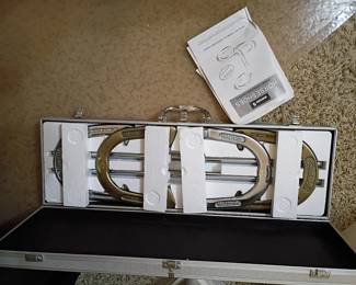 Regulation horseshoe set