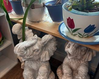 Plants and more plants...