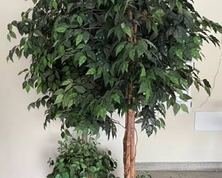 Artificial Ficus Tree in Wicker Basket