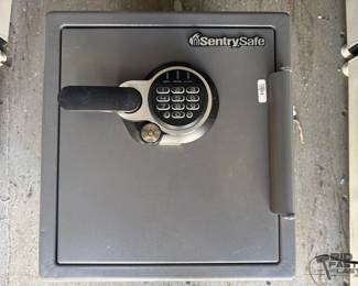 2900  SentrySafe Safe 
