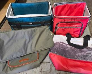 8102  4 Ice Chest Cooler Bags 