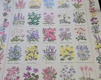 Artist signed Carol Dickerson Alaska Wildflowers Prints