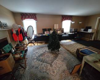Area Rugs, Clothing, Mirror, Christmas Tree..
