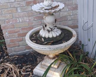 Bird Bath