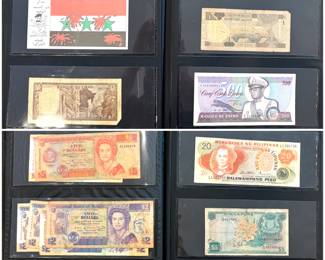 Collectible foreign currency.