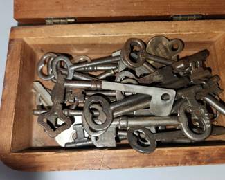 Large selection of skeleton keys