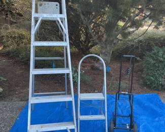 97  57a172ec65b74dd69fe761a40d6a956f