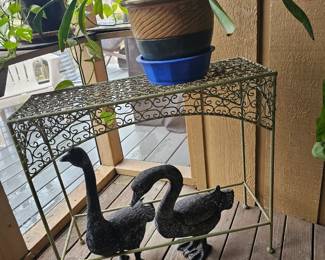 This pair needs a home