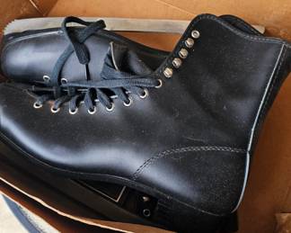 ice skates