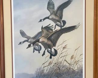 ETS036 Limited Edition 128/500 Print Of Windsong-Canadian Geese By James Meger