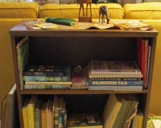 Vintage Travel Books