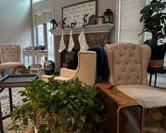 Pothos Plant in Basket