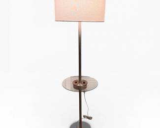 73 TallBrushedMetalFloorLampwGlassTrayUSBACOutlet