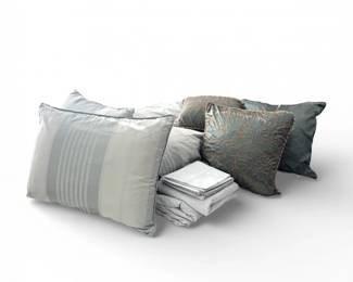 16 LuxuryQueenBeddingSeafoamTealMilliHomePillowsComforter