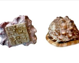 Cypraecassis Rufa Shell & Honed Geode Fossil With Attached Game Detailing
