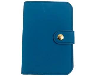 New! P Travel documents holder