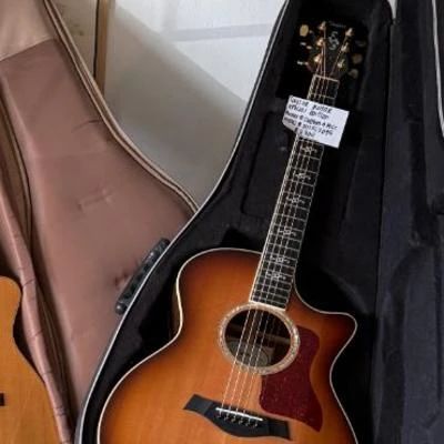 Taylor guitar special edition