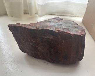 large petrified wood