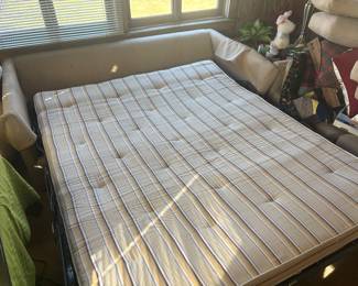 Clean sleeper sofa