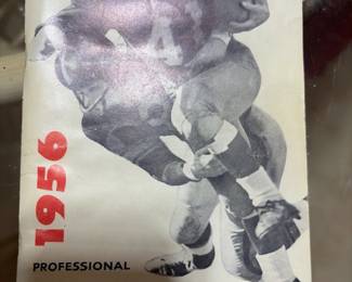 Professional Football Program