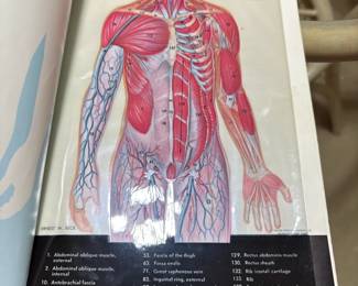 Better Homes Gardens Family Medical Guide An Atlas of the Human Body in TransVision second image
