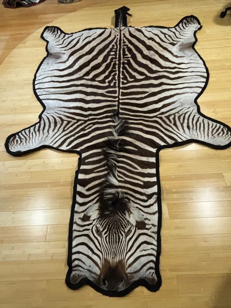African Zebra Hide Rug Or Wall Hanging