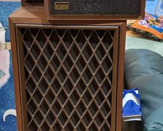 Vintage Realistic Speakers