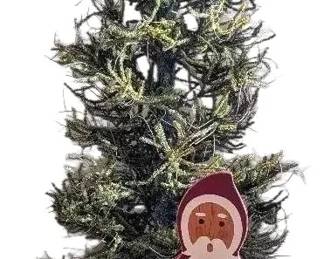 7 Foot Christmas Tree With Santa Decoration