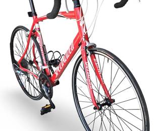 Specialized Allez Elite 26in Lightweight Road